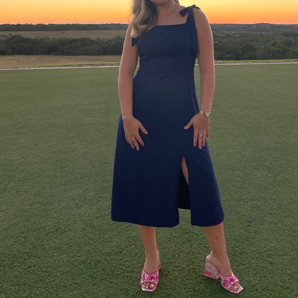 Petal and pup sleek modern dress
